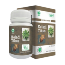 keladi tikus | Herbal Indo | herbalassunnah