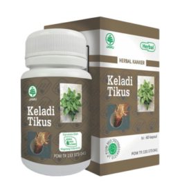 keladi tikus | Herbal Indo | herbalassunnah