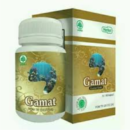 gamat gold-herbal indo utama-herbalassunnah